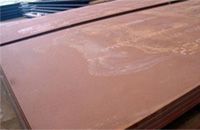 Abrasion Resistance 500 Plates